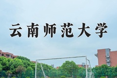 2024年云南师范大学在重庆计划招生人数（附学费及专业录取分)