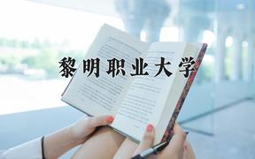 2024年黎明职业大学在重庆计划招生人数（附学费及专业录取分)