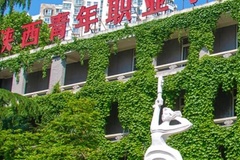 2024年陕西青年职业学院在广东计划招生人数（附学费及专业录取分）