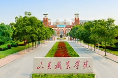 山东职业学院录取分数线(陕西2023-2021录取最低分)