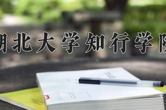 2024年湖北大学知行学院录取分数线：重庆最低460分