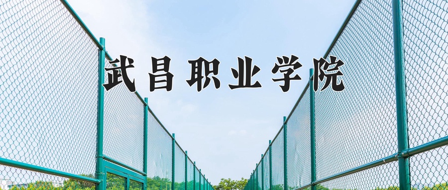 武昌职业学院