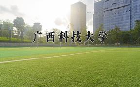 2024年广西科技大学录取分数线：重庆最低507分