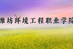 潍坊环境工程职业学院2024在重庆录取分数线：最低180分（含各专业录取最低分）