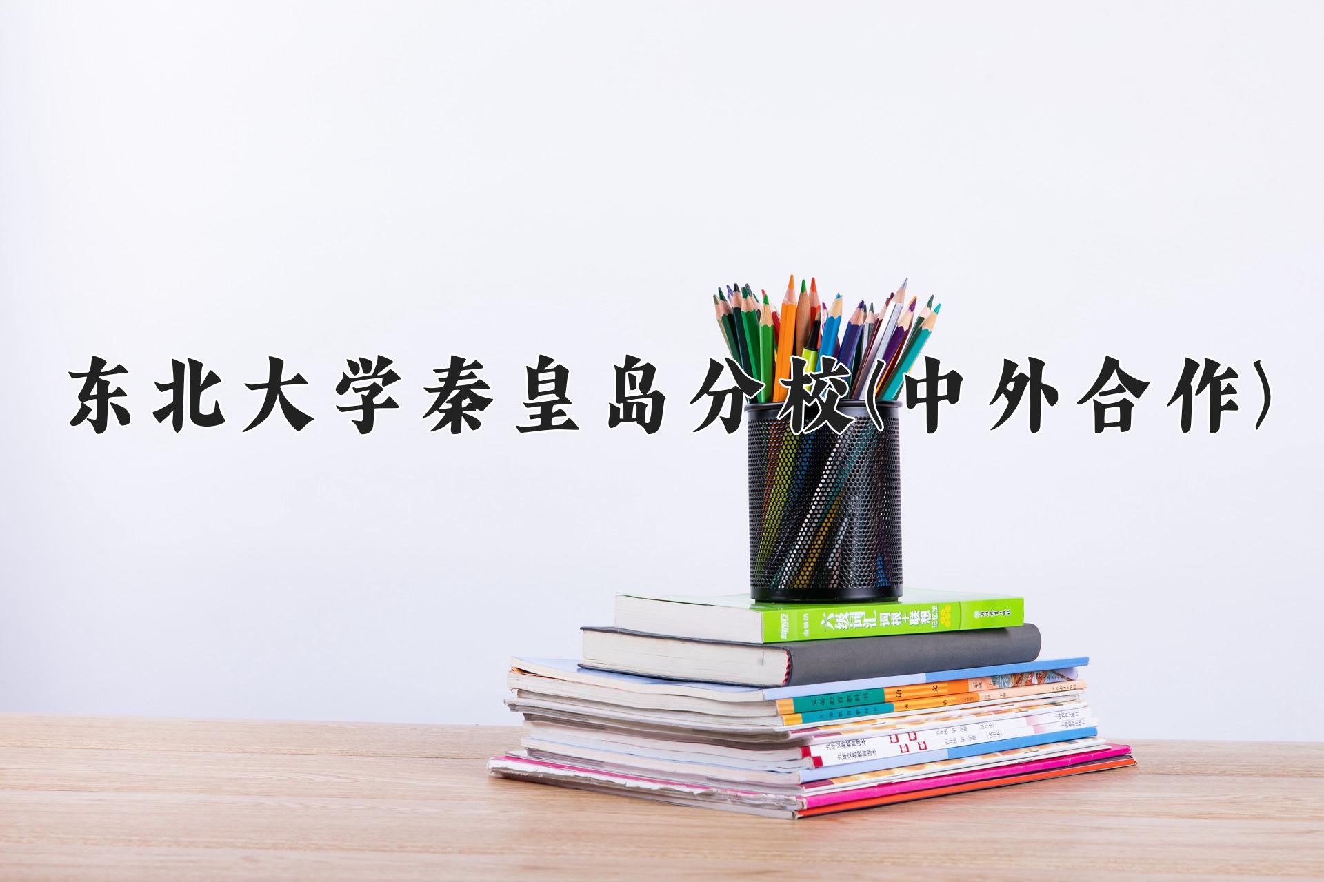 东北大学秦皇岛分校(中外合作)