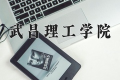 2024年武昌理工学院录取分数线：重庆最低450分