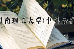 河南理工大学(中外合作)2024在重庆录取分数线：最低524分（含各专业录取最低分）