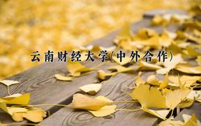 云南财经大学(中外合作)2024在重庆录取分数线：最低487分（含各专业录取最低分）