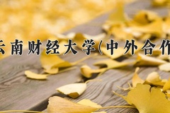 云南财经大学(中外合作)2024在重庆录取分数线：最低487分（含各专业录取最低分）