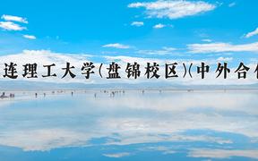 大连理工大学(盘锦校区)(中外合作)2024在重庆录取分数线：最低601分（含各专业录取最低分）