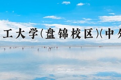 大连理工大学(盘锦校区)(中外合作)2024在重庆录取分数线：最低601分（含各专业录取最低分）