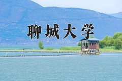 2024年聊城大学录取分数线：重庆最低486分