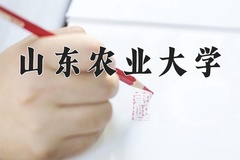 2024年年山东农业大学录取分数线：重庆最低513分