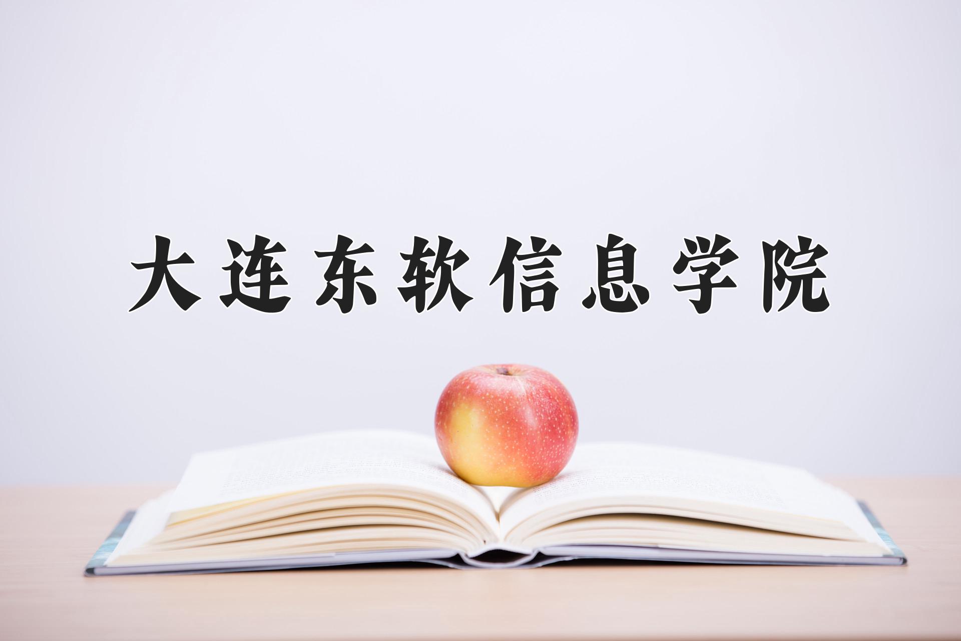 大连东软信息学院