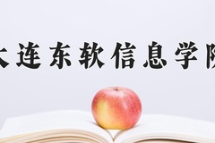 2024年大连东软信息学院录取分数线：重庆最低430分