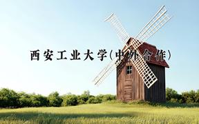 西安工业大学(中外合作)2024在重庆录取分数线：最低515分（含各专业录取最低分）