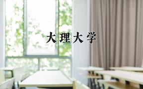 2024年大理大学录取分数线：重庆最低500分