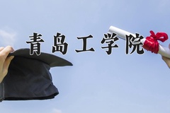 2024年青岛工学院录取分数线：重庆最低445分