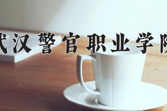2024年武汉警官职业学院录取分数线：重庆最低401分