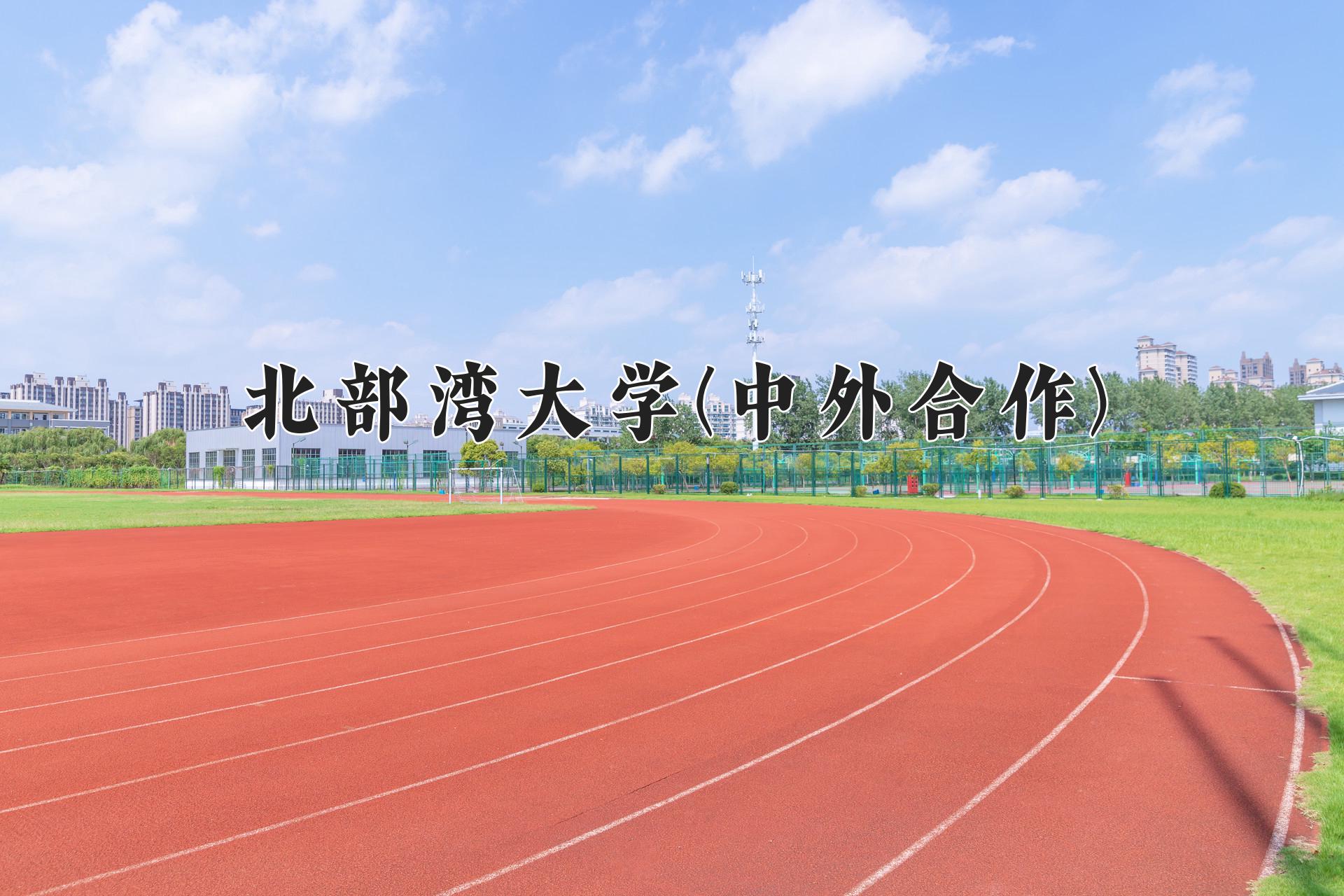 北部湾大学(中外合作)