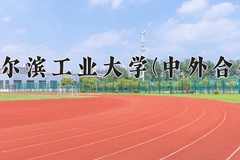 哈尔滨工业大学(中外合作)2024在重庆录取分数线：最低618分（含各专业录取最低分）