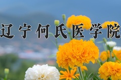 2024年辽宁何氏医学院录取分数线：重庆最低295分