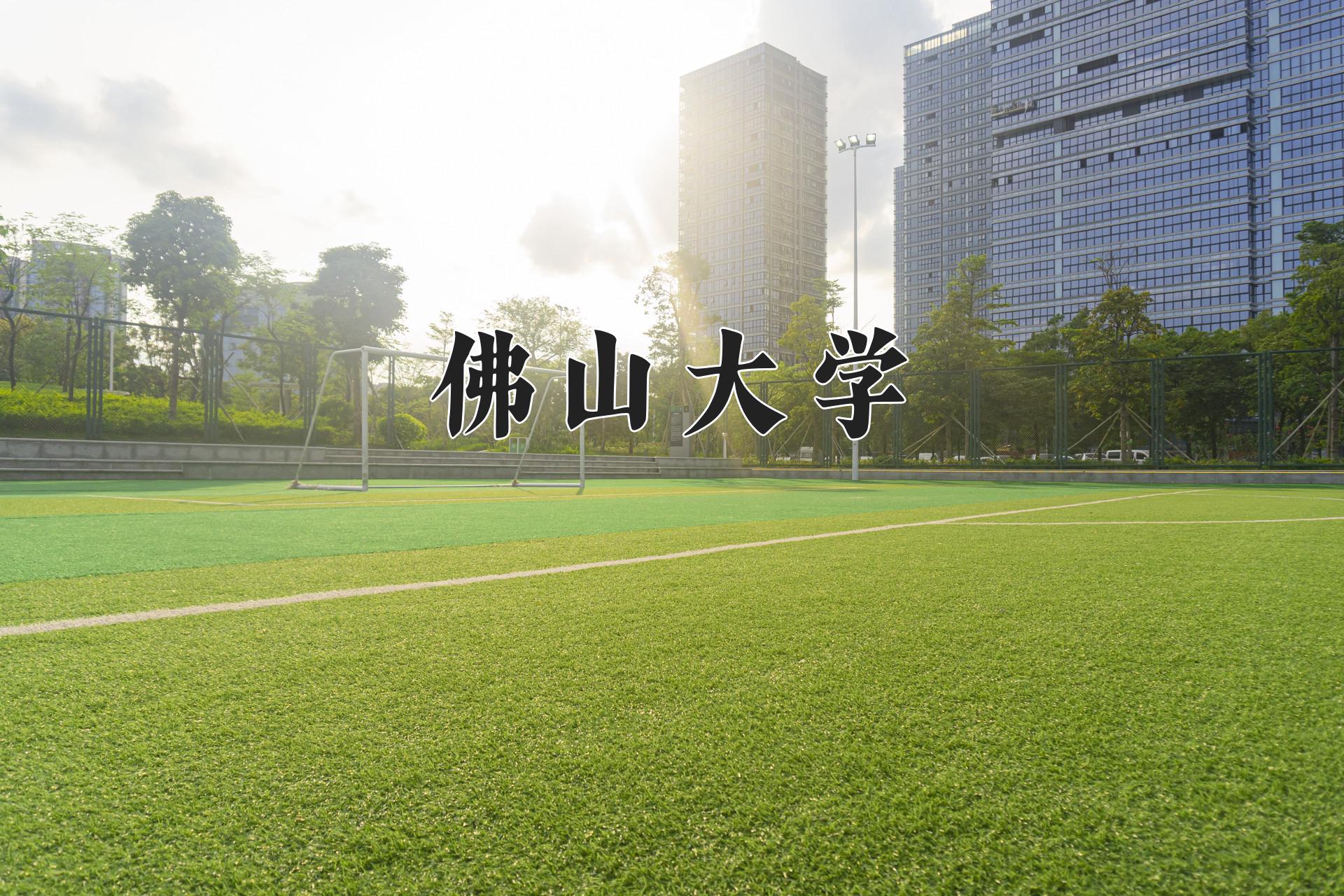 佛山大学