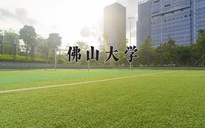 2024年佛山大学录取分数线：重庆最低501分