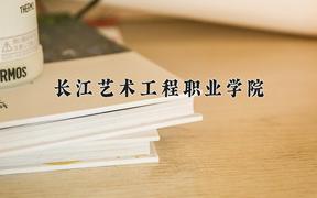 2024年长江艺术工程职业学院录取分数线：重庆最低270分