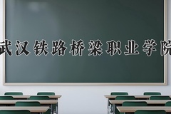 2024年武汉铁路桥梁职业学院录取分数线：重庆最低368分