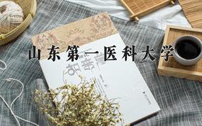 2024年山东第一医科大学录取分数线：重庆最低507分