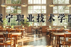 2024年咸宁职业技术学院录取分数线：重庆最低325分