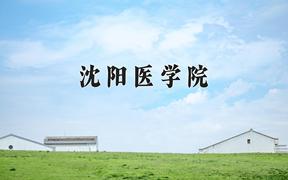 2024年沈阳医学院录取分数线：重庆最低511分