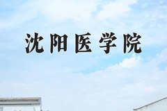 2024年沈阳医学院录取分数线：重庆最低511分