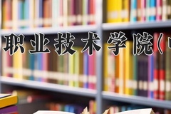 广州民航职业技术学院(中外合作)2024在重庆录取分数线：最低419分（含各专业录取最低分）