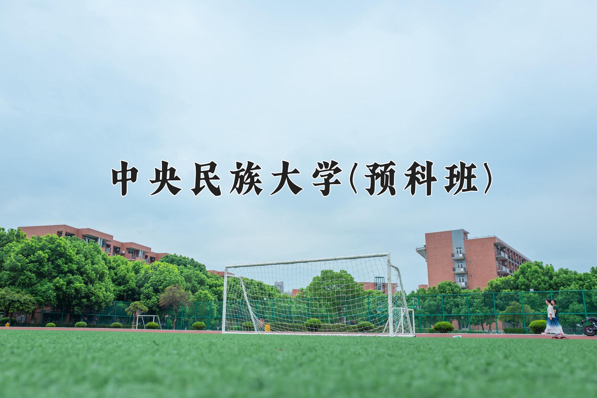 中央民族大学(预科班)