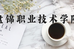 2024年盘锦职业技术学院录取分数线：重庆最低275分