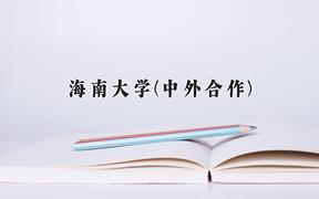 海南大学(中外合作)2024在重庆录取分数线：最低496分（含各专业录取最低分）