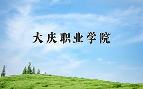 2024年大庆职业学院录取分数线：重庆最低289分