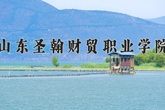 2024年山东圣翰财贸职业学院录取分数线：重庆最低312分