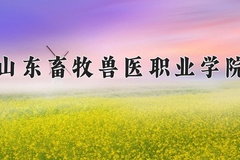 2024年山东畜牧兽医职业学院录取分数线：重庆最低423分
