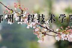 2024年郑州工程技术学院录取分数线：重庆最低494分