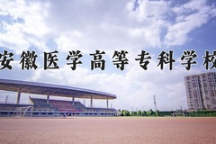 2024年安徽医学高等专科学校录取分数线：重庆最低406分