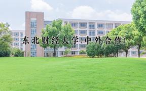 东北财经大学(中外合作)2024在重庆录取分数线：最低502分（含各专业录取最低分）