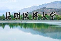 2024年昆明医科大学录取分数线：重庆最低547分