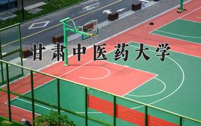 2024年甘肃中医药大学录取分数线：重庆最低500分