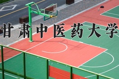 2024年甘肃中医药大学录取分数线：重庆最低500分