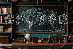 2024年武汉工商学院录取分数线：重庆最低452分