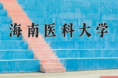 2024年海南医科大学录取分数线：重庆最低504分