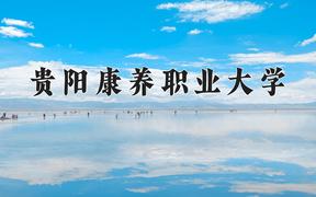 2024年贵阳康养职业大学录取分数线：重庆最低498分